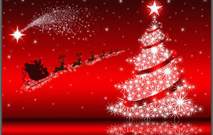 Joyeux Noël et Bonnes Fêtes de Fin d'Année