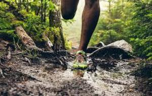 Entrainement Bettant