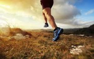 Entrainement Trail du mardi