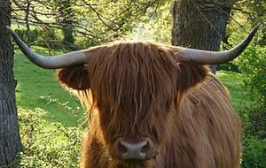 Sortie Trail Dimancche