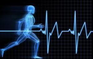 Réunion Entraineurs