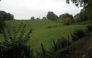 Footing dimanche matin