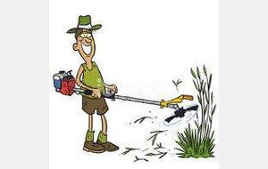 Nettoyage et Débroussaillage 2019