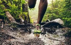 Entrainement du jeudi  