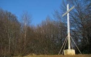 Sortie trail  dimanche