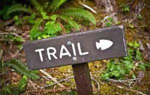 Sortie trail du dimanche