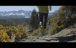 Sortie trail du dimanche