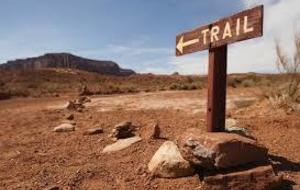 Sortie trail du dimanche