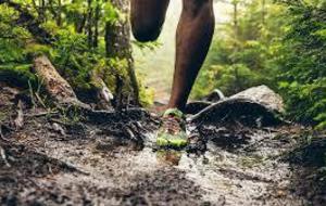 Sortie trail du dimanche