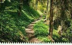 Sortie du jeudi VAUX EN BUGEY