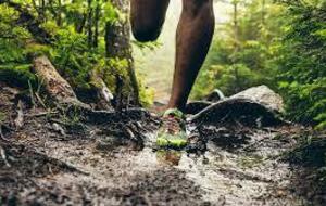 Dimanche Ambronay Trail