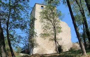 Sortie du dimanche à St Denis en bugey 