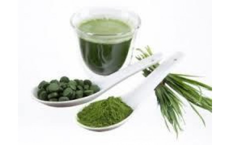 Spiruline 