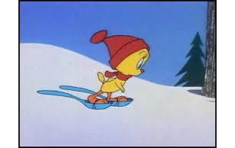 Sortie Raquettes   ( ou skis de fond )