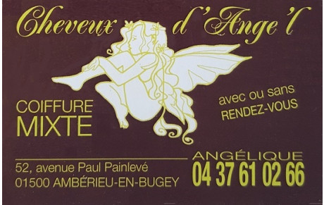 Cheveux d'Ange'L